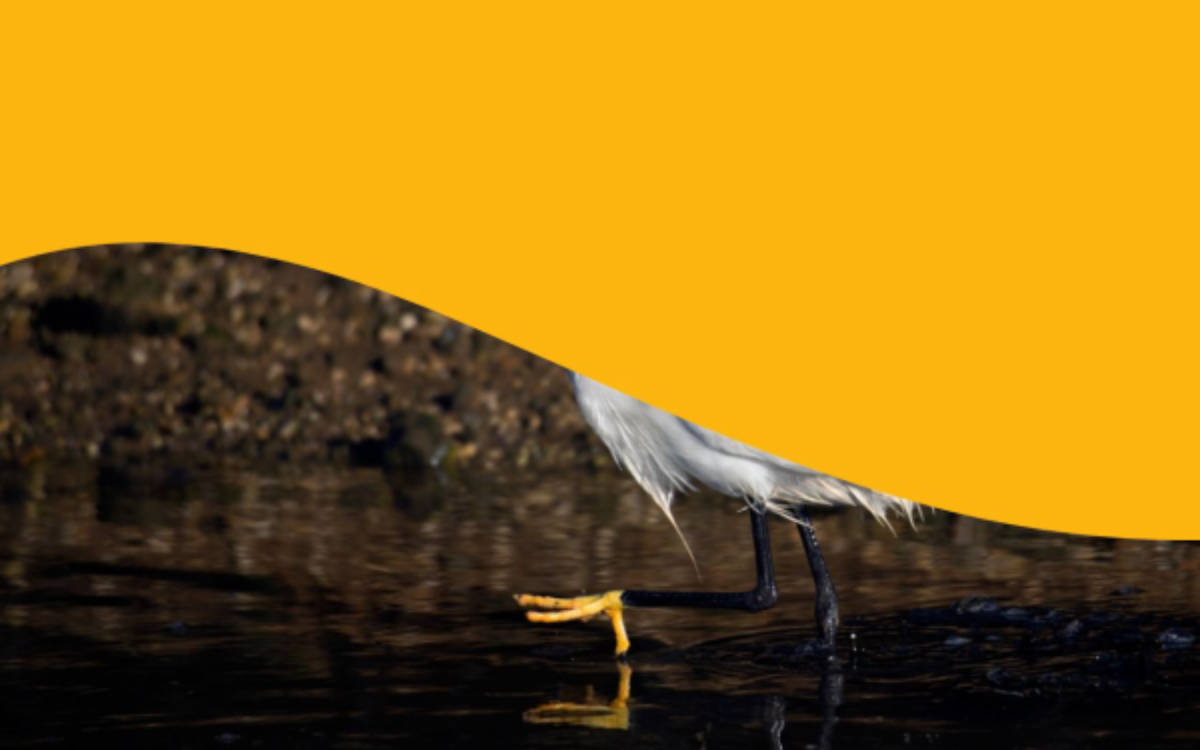 Image effects using clip paths